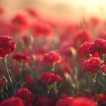 Is It Possible To Forget?