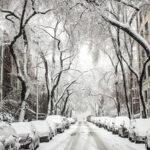 Snowstorm is Hitting New York City and I am Just Fine